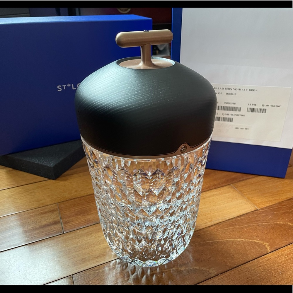St Louis Folia LED Portable Lamp bought in Hermes